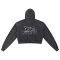 Snow Washed Cropped Hoodie